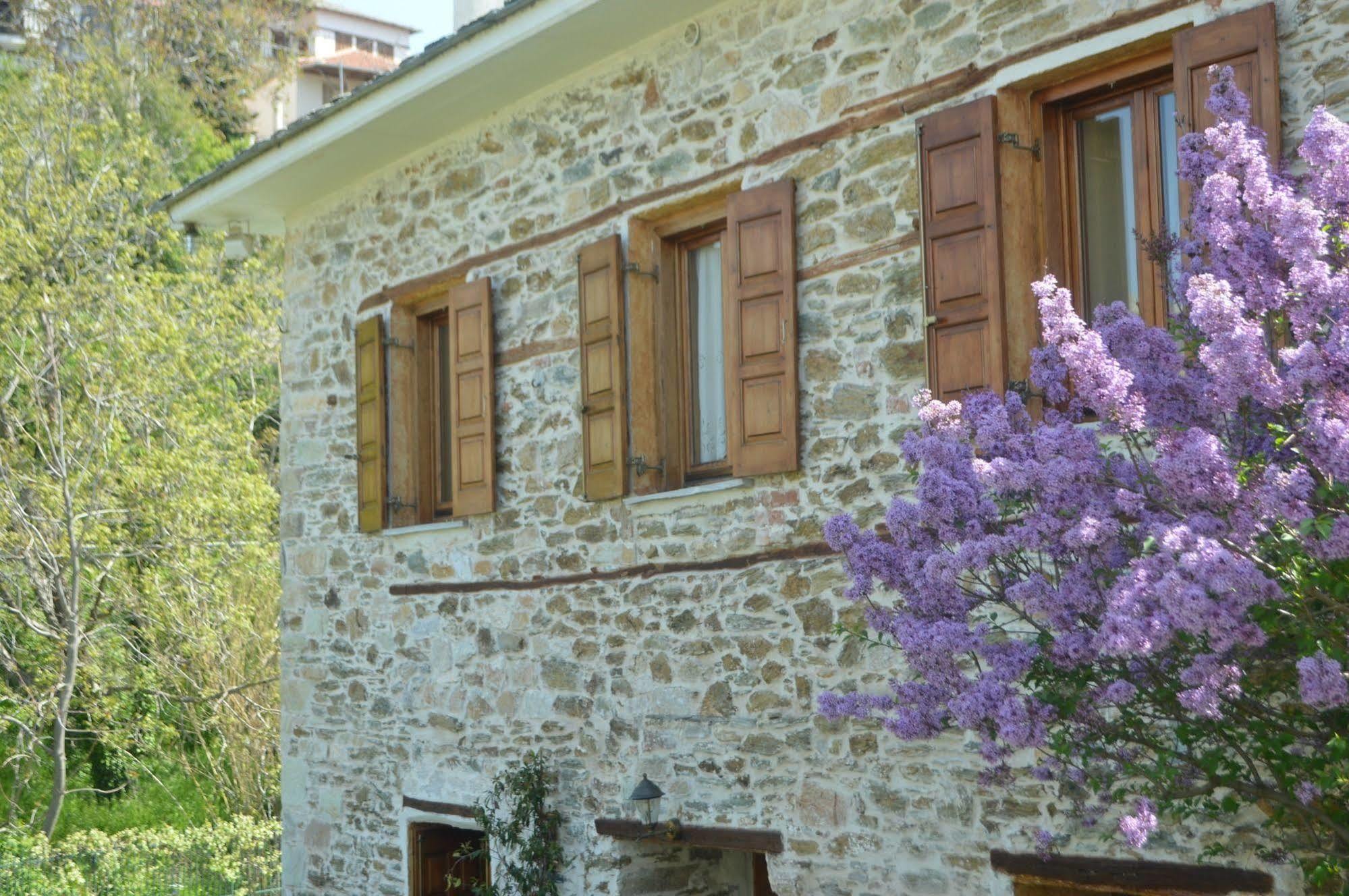 Triantafillies Guesthouse Portaria  Exterior photo
